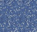 19_s_20100914_150646_250273.jpg